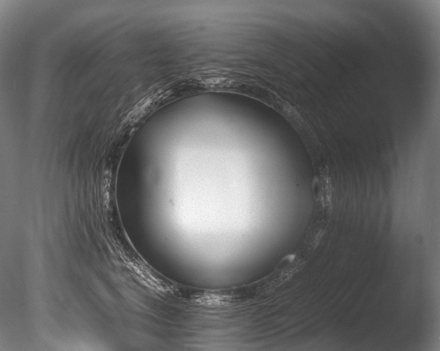 X0000086110664200703231503
