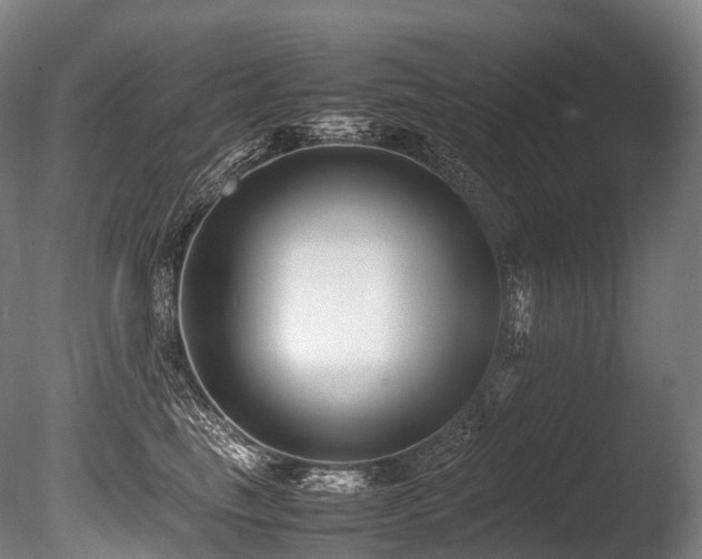 X0000086110665200703231503