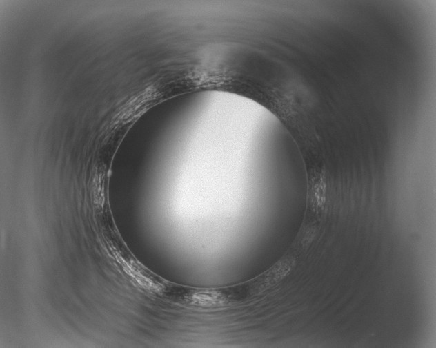X0000086110666200703231503