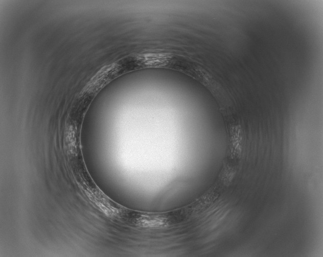 X0000086110667200703231503