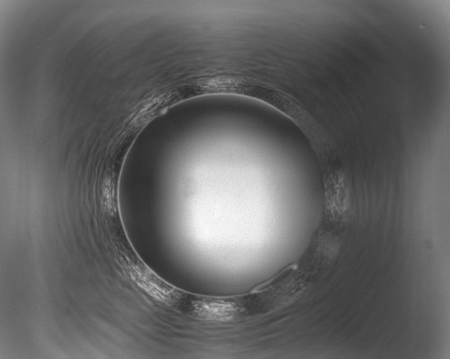 X0000086110669200703231503