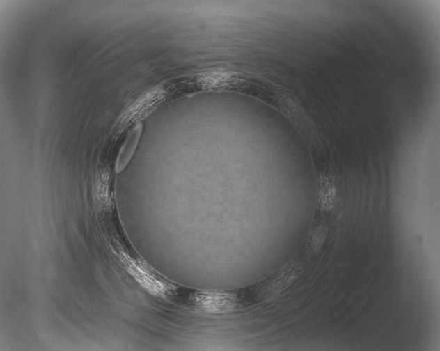 X0000086110670200703231503