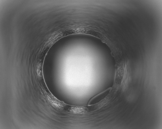 X0000086110671200703231503