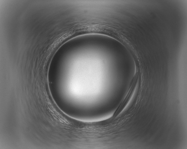 X0000086110673200703231502