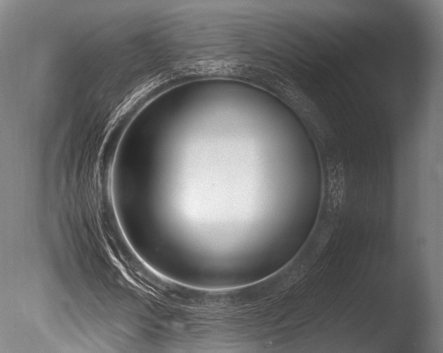 X0000086110674200703231502