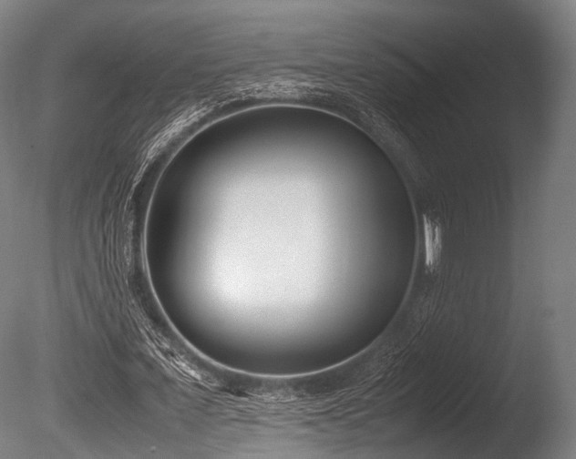 X0000086110675200703231502