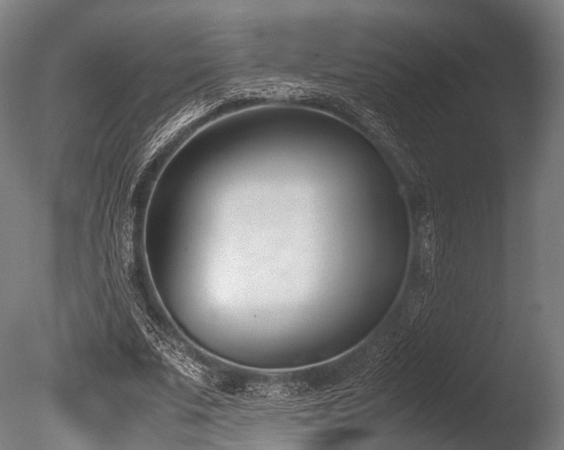 X0000086110679200703231502
