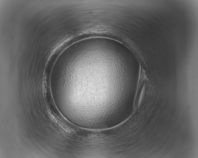 X0000086110680200703231502