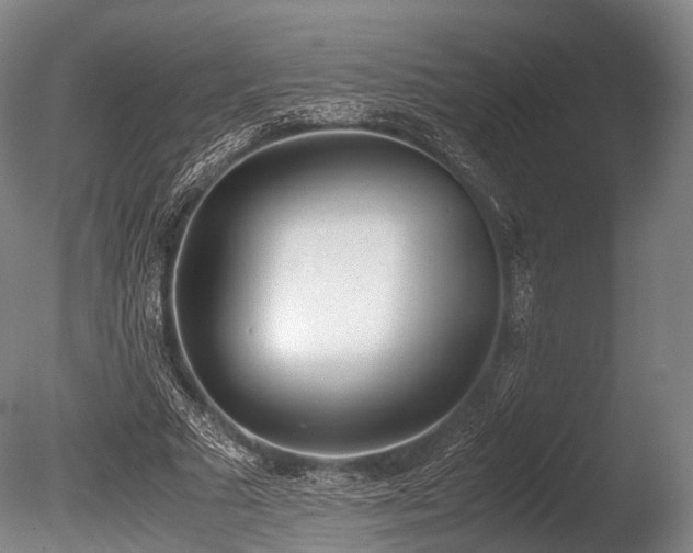 X0000086110681200703231502