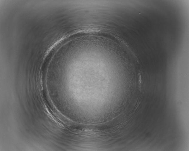 X0000086110684200703231502