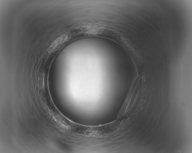 X0000086110685200703231502