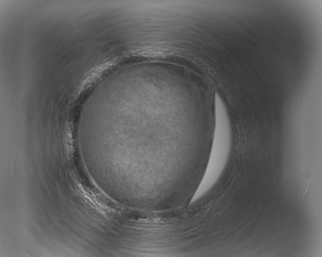 X0000086110688200703231502