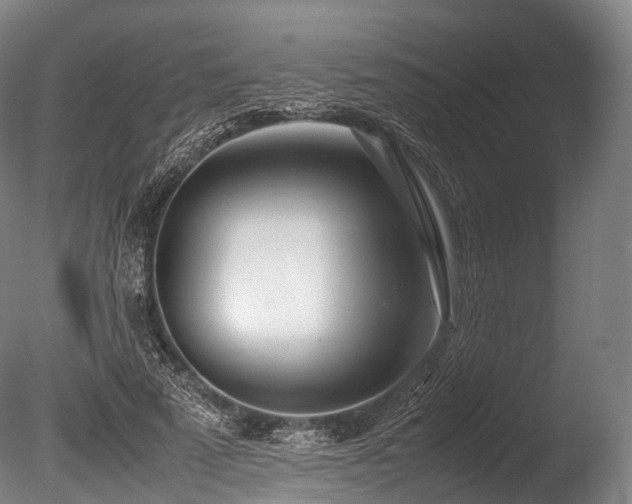 X0000086110689200703231502