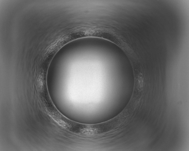 X0000086110691200703231502