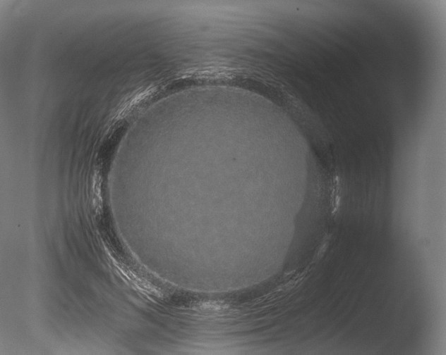 X0000086110692200703231502