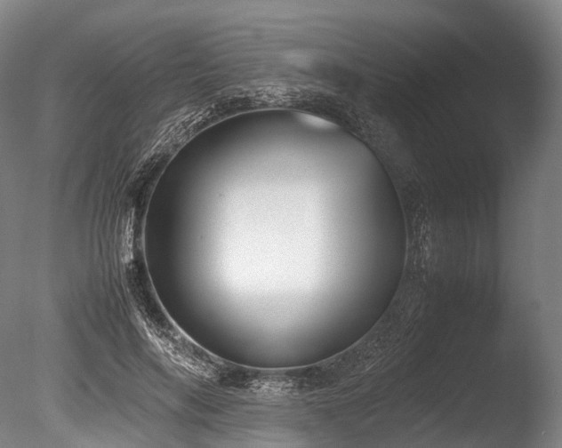 X0000086110694200703231502