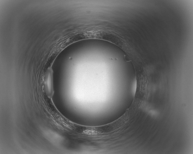 X0000086110699200703231501