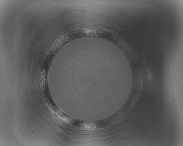 X0000086110702200703231501