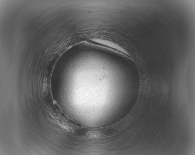 X0000086110704200703231501
