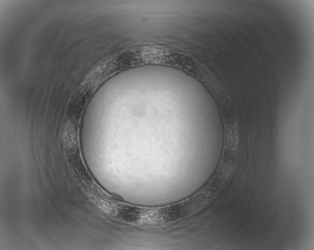 X0000086110705200703231501