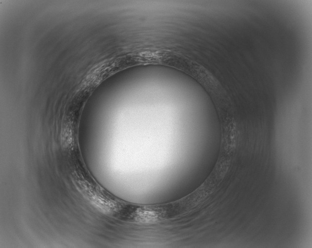 X0000086110706200703231501