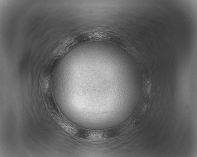 X0000086110709200703231501