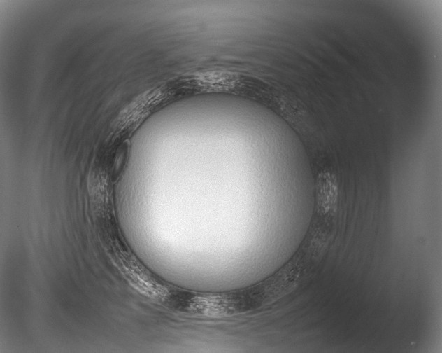 X0000086110713200703231501