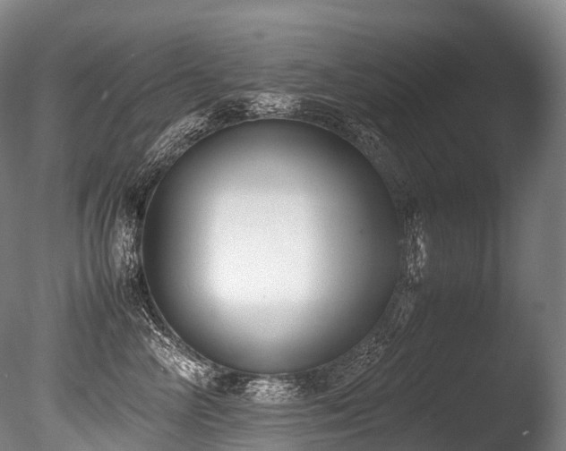 X0000086110714200703231501
