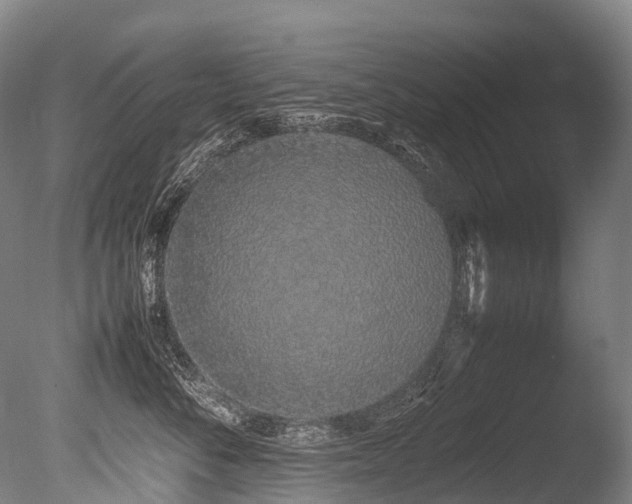 X0000086110716200703231501