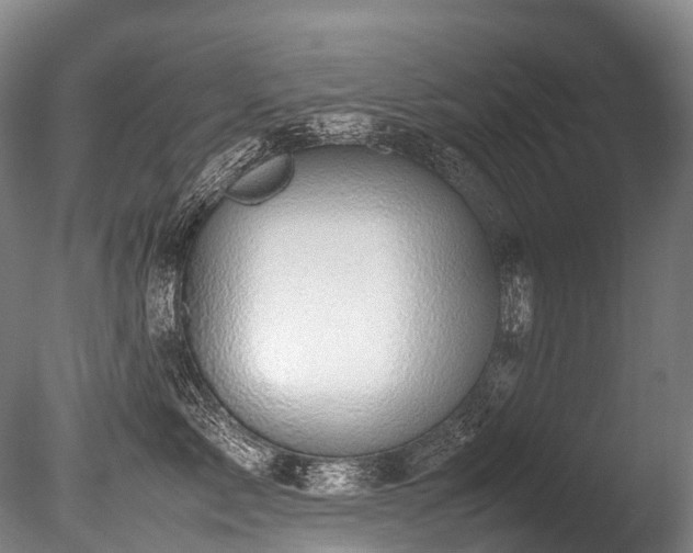 X0000086110717200703231501