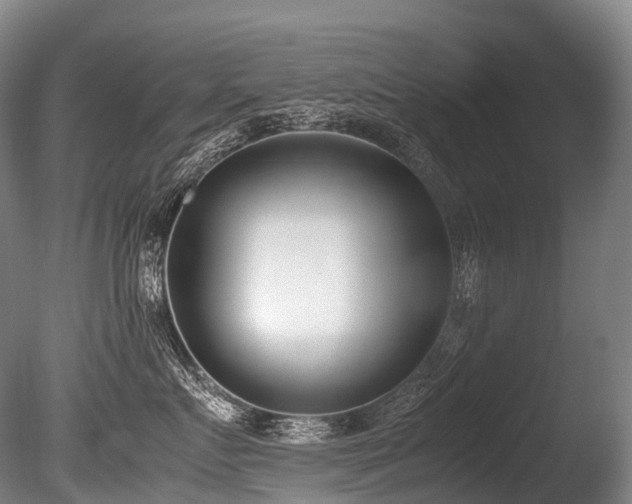 X0000086110719200703231501