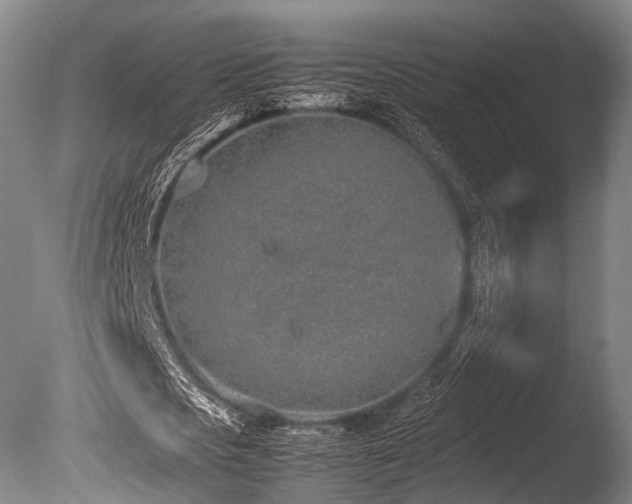 X0000086110721200703231500