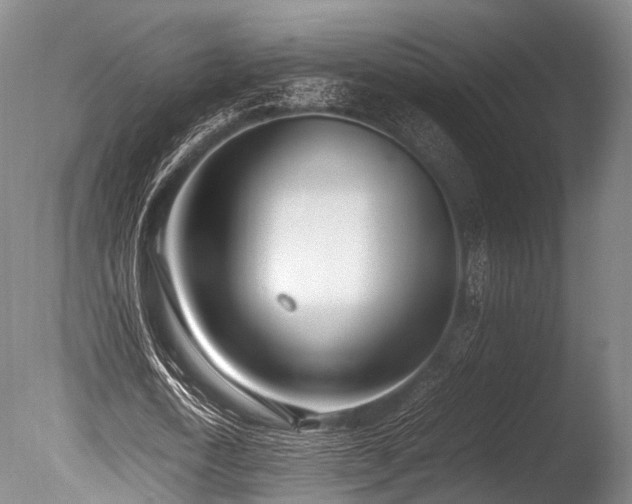 X0000086110722200703231500