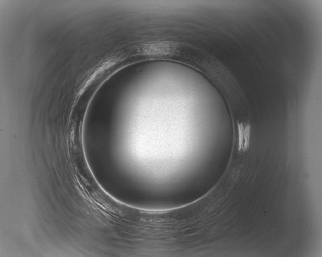 X0000086110723200703231500
