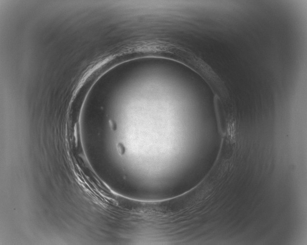 X0000086110724200703231500