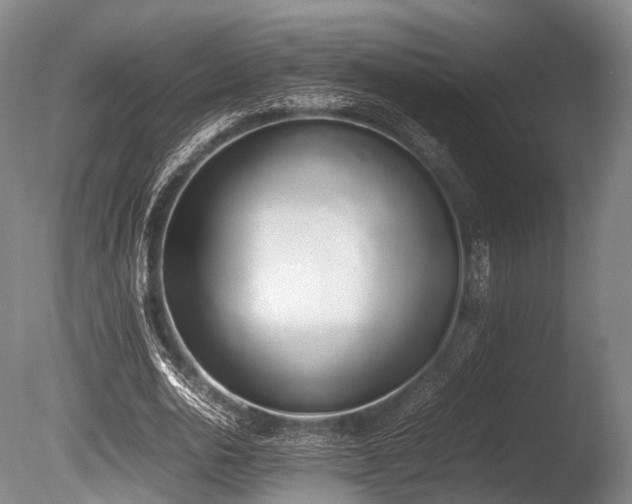 X0000086110726200703231500
