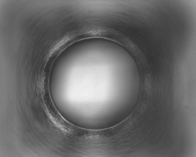 X0000086110730200703231500