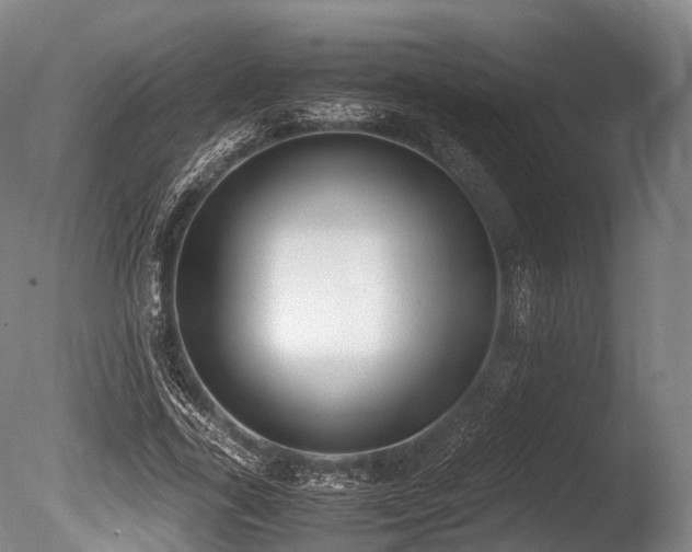 X0000086110731200703231500