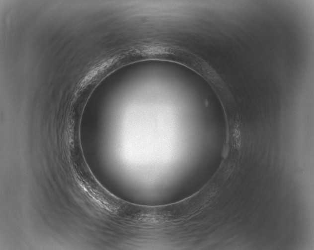 X0000086110732200703231500