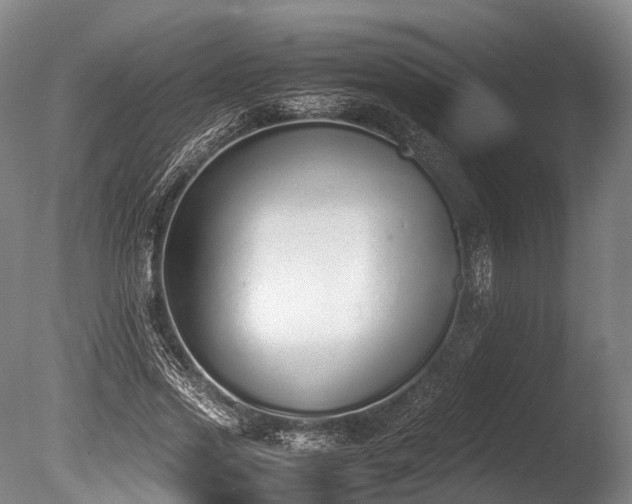 X0000086110733200703231500