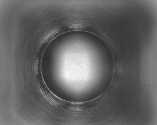 X0000086110735200703231500