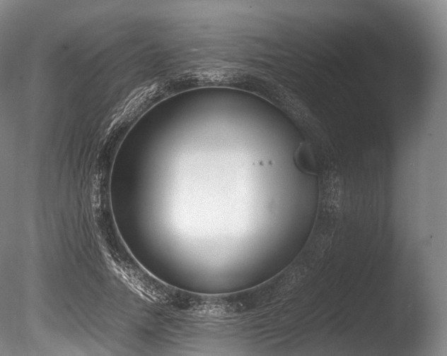 X0000086110738200703231501