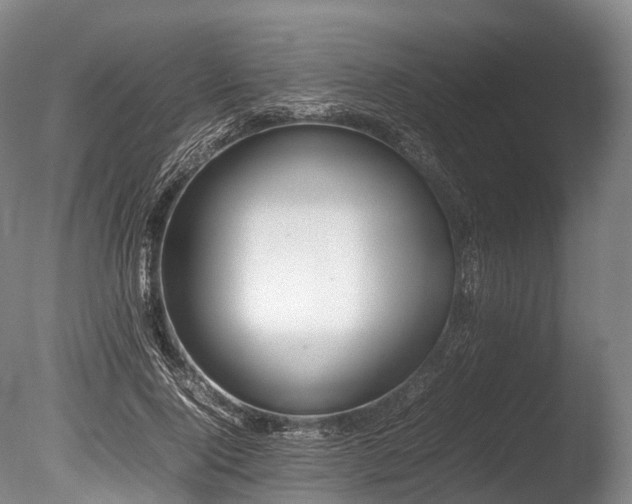 X0000086110740200703231501