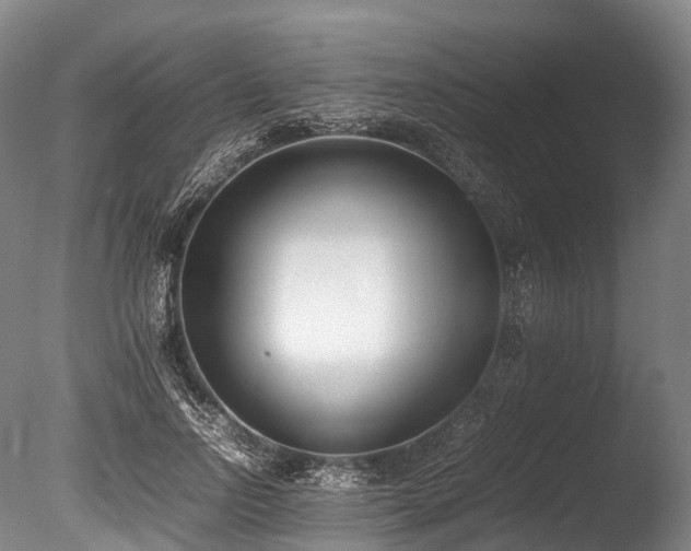 X0000086110742200703231501