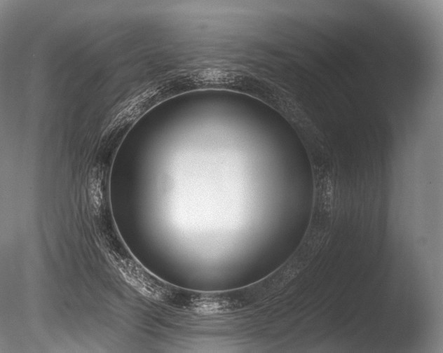 X0000086110746200703231501