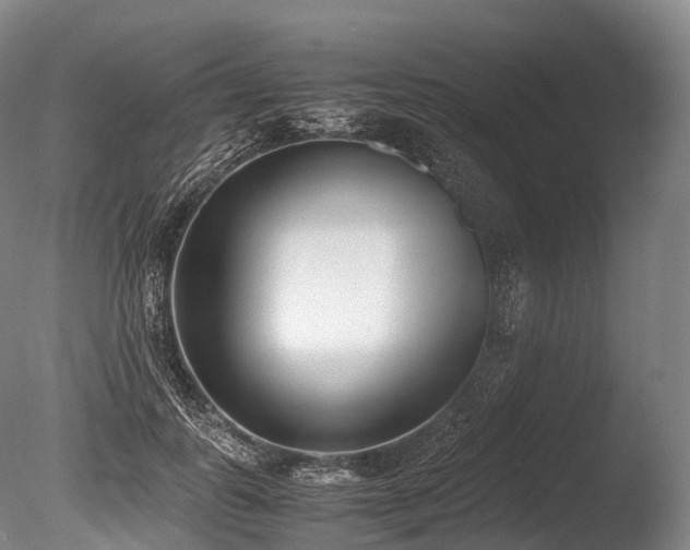 X0000086110747200703231501