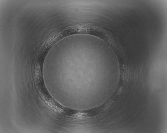 X0000086110748200703231501