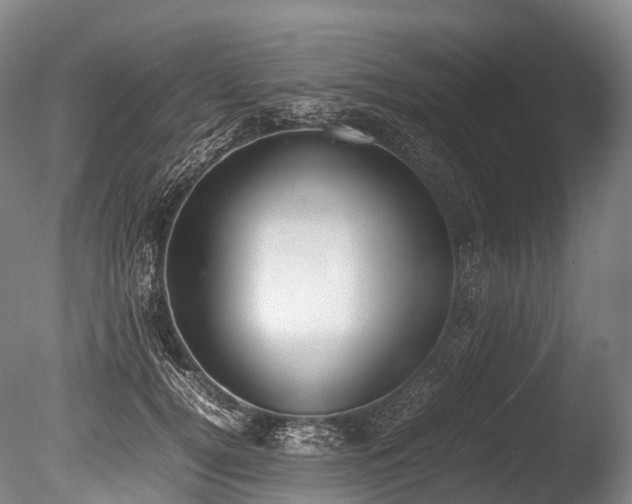 X0000086110752200703231501