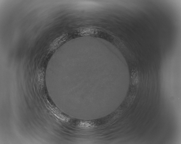 X0000086110753200703231501