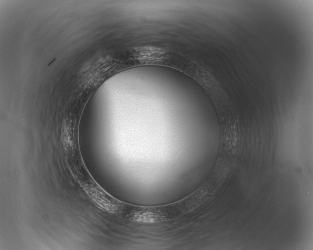 X0000086110755200703231501